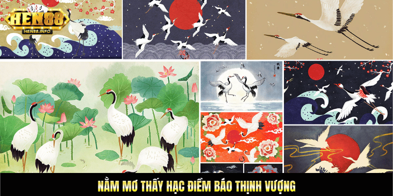 nằm mơ thấy hạc