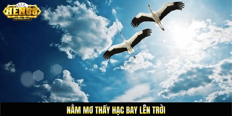 Nằm mơ thấy hạc bay lên trời