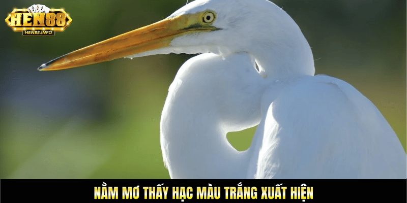 Nằm mơ thấy hạc màu trắng xuất hiện